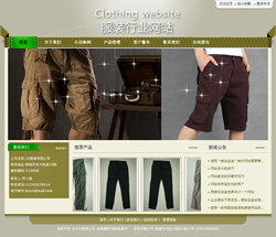 服装行业网站